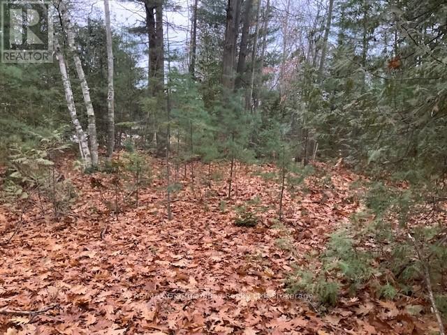 46 Oakwood Avenue Nw, Tiny, ON