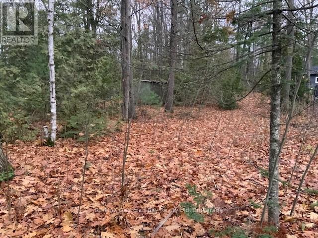 46 Oakwood Avenue Nw, Tiny, ON