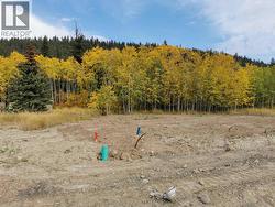 268 BLACKSTOCK ROAD 100 Mile House, BC V0K 2E3