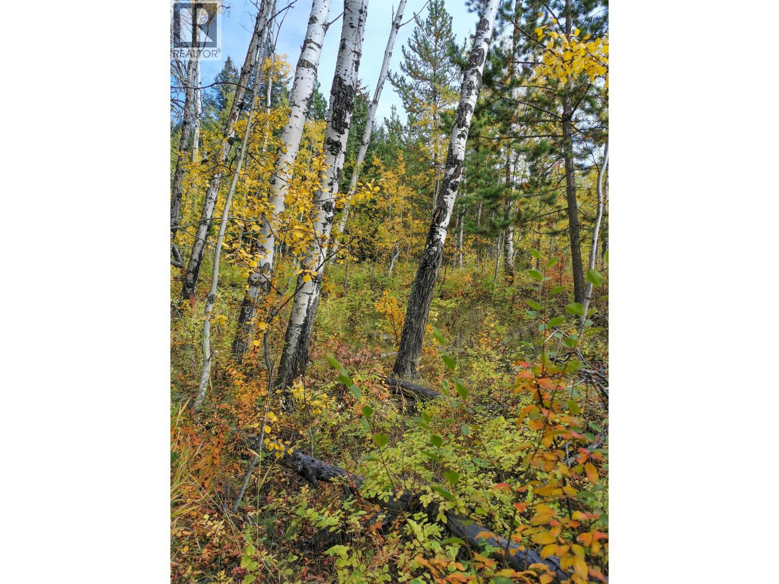 268 Blackstock Road, 100 Mile House, BC