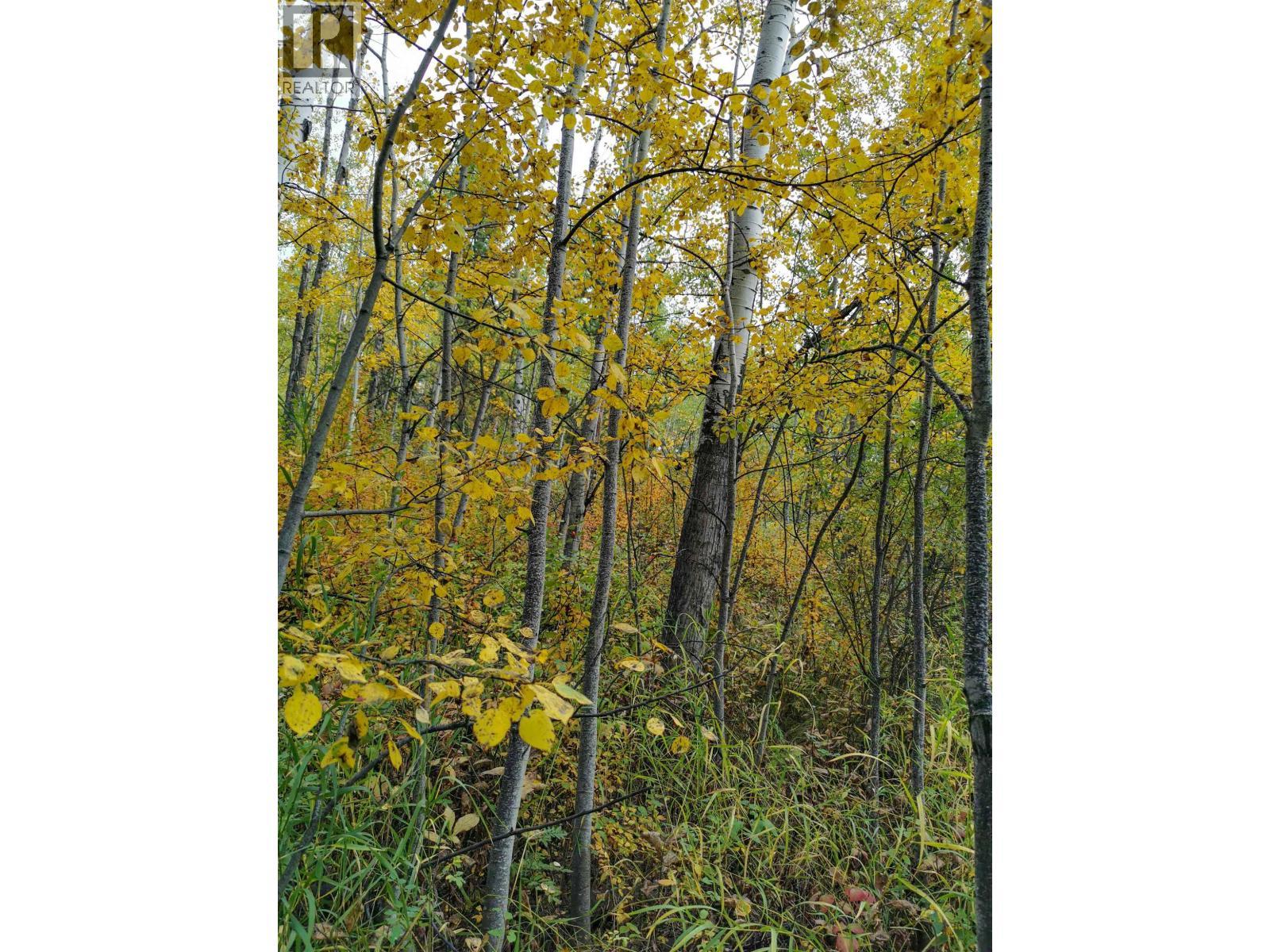 268 Blackstock Road, 100 Mile House, BC