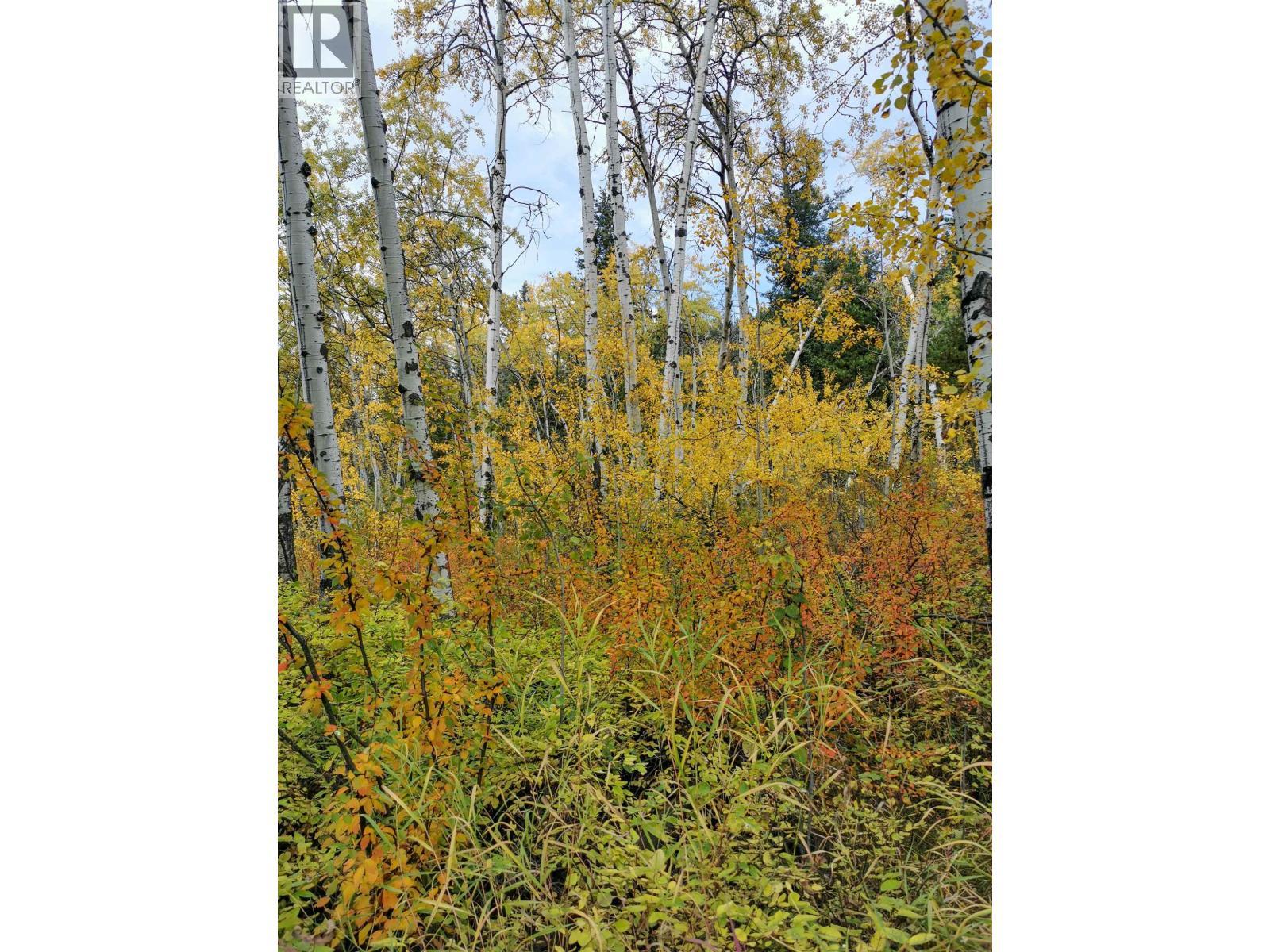 268 Blackstock Road, 100 Mile House, BC