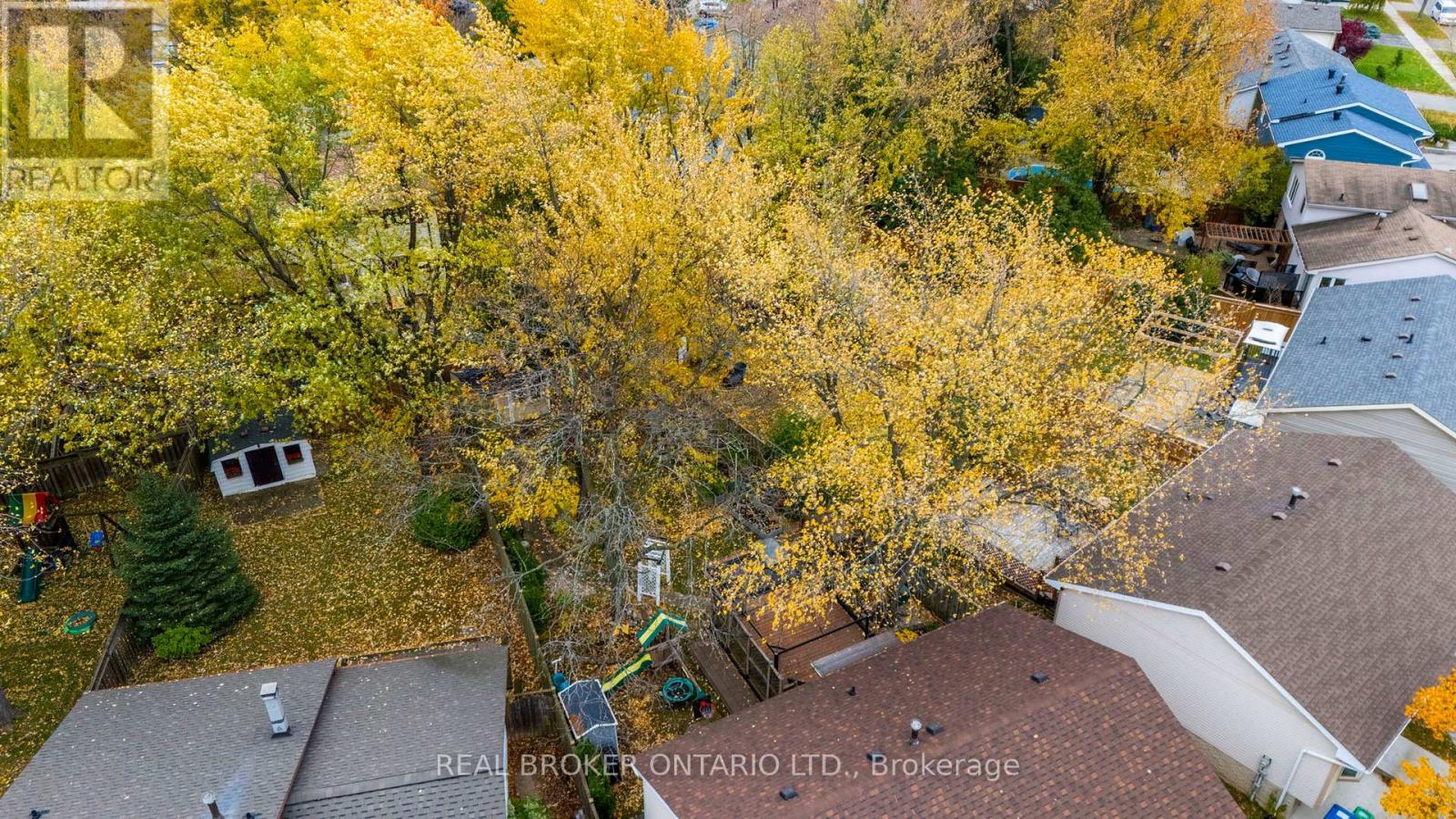 6891 Shelter Bay Road, Mississauga, ON - Outdoor