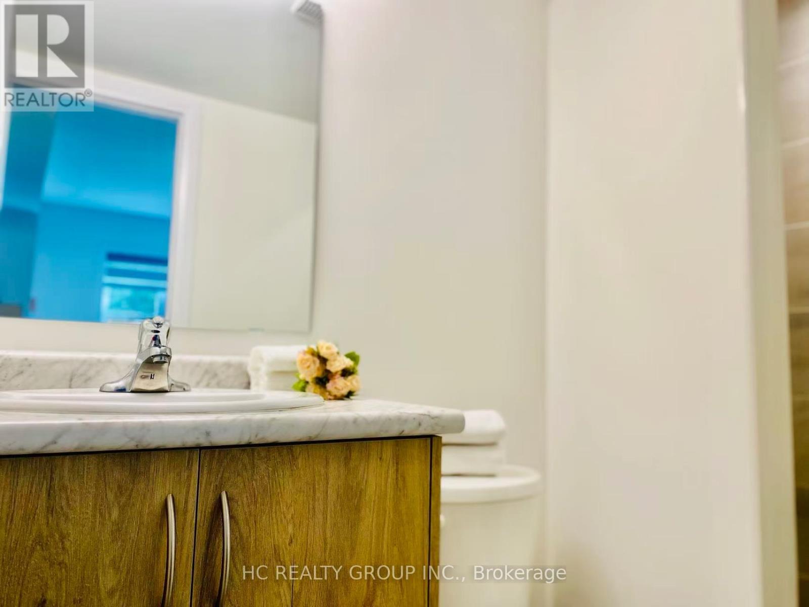 Backyard Apt - 2123 Royal Gala Circle, Mississauga, ON - Indoor Photo Showing Bathroom