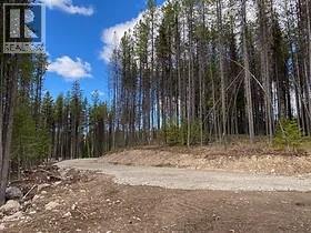 8930 33 Highway Unit# Lot 10, Beaverdell, BC