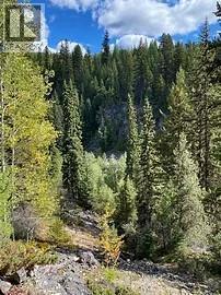 8930 33 Highway Unit# Lot 10, Beaverdell, BC