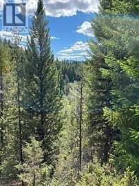 8930 33 Highway Unit# Lot 10, Beaverdell, BC