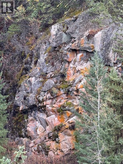 8930 33 Highway Unit# Lot 10, Beaverdell, BC