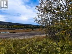 292 BLACKSTOCK ROAD 100 Mile House, BC V0K 2E3