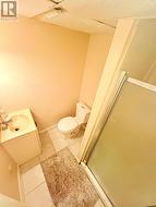 Basement Washroom -