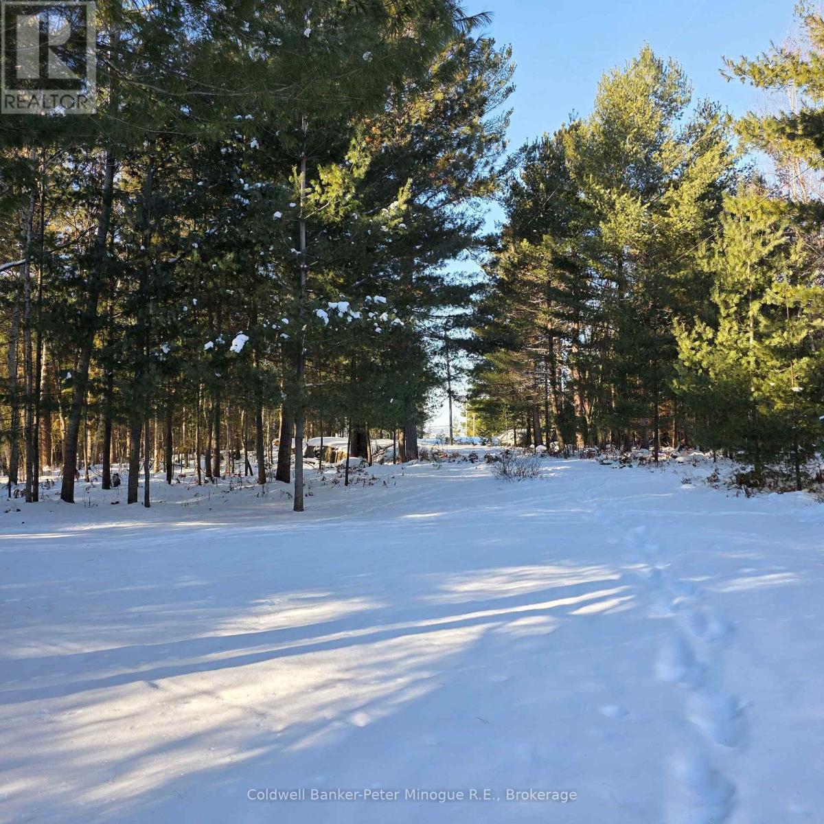 to the waterfront - 567 Sunset Cove Road, Callander, ON - Outdoor With View