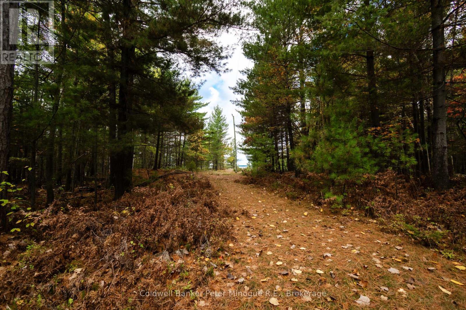 567 Sunset Cove Road, Callander, ON - Outdoor