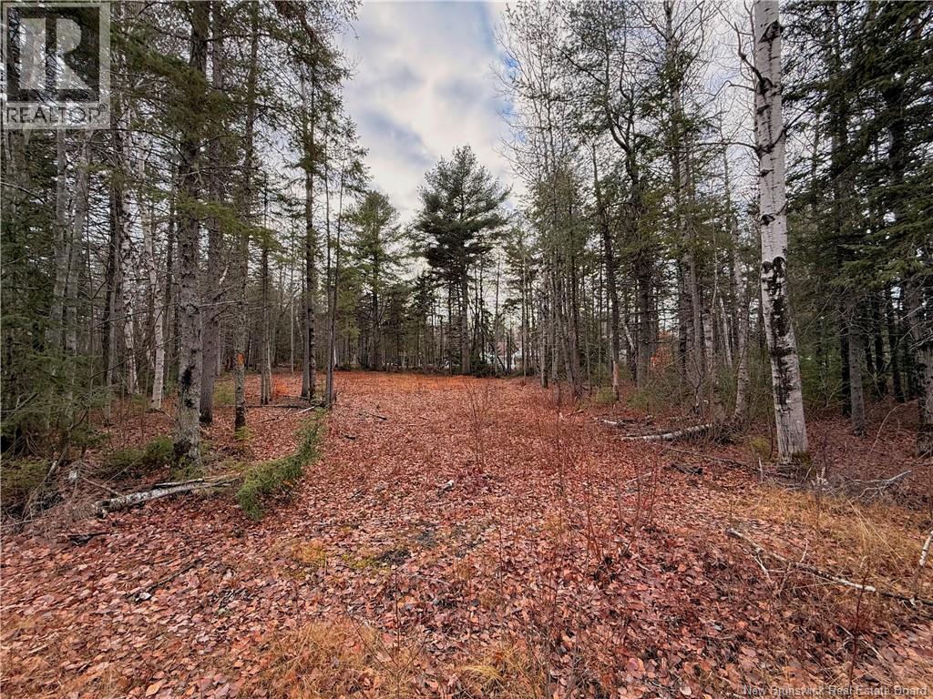 Cleared 100x100ft - Wellington Street, Loggieville, NB