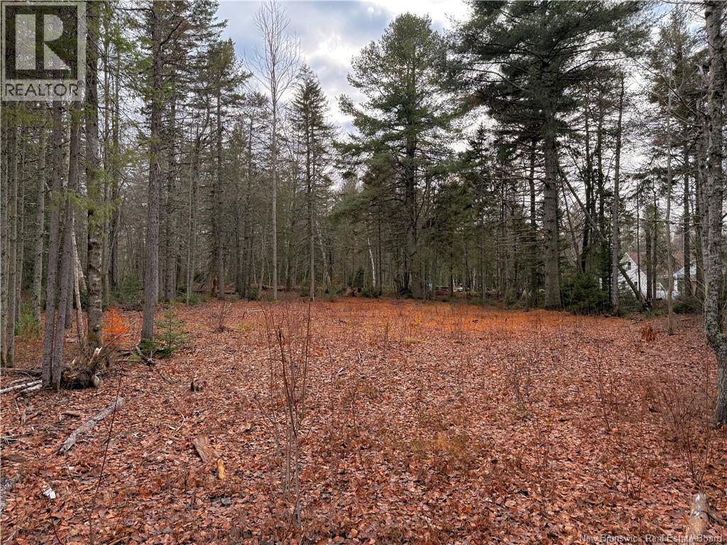 Cleared 100x100ft - Wellington Street, Loggieville, NB