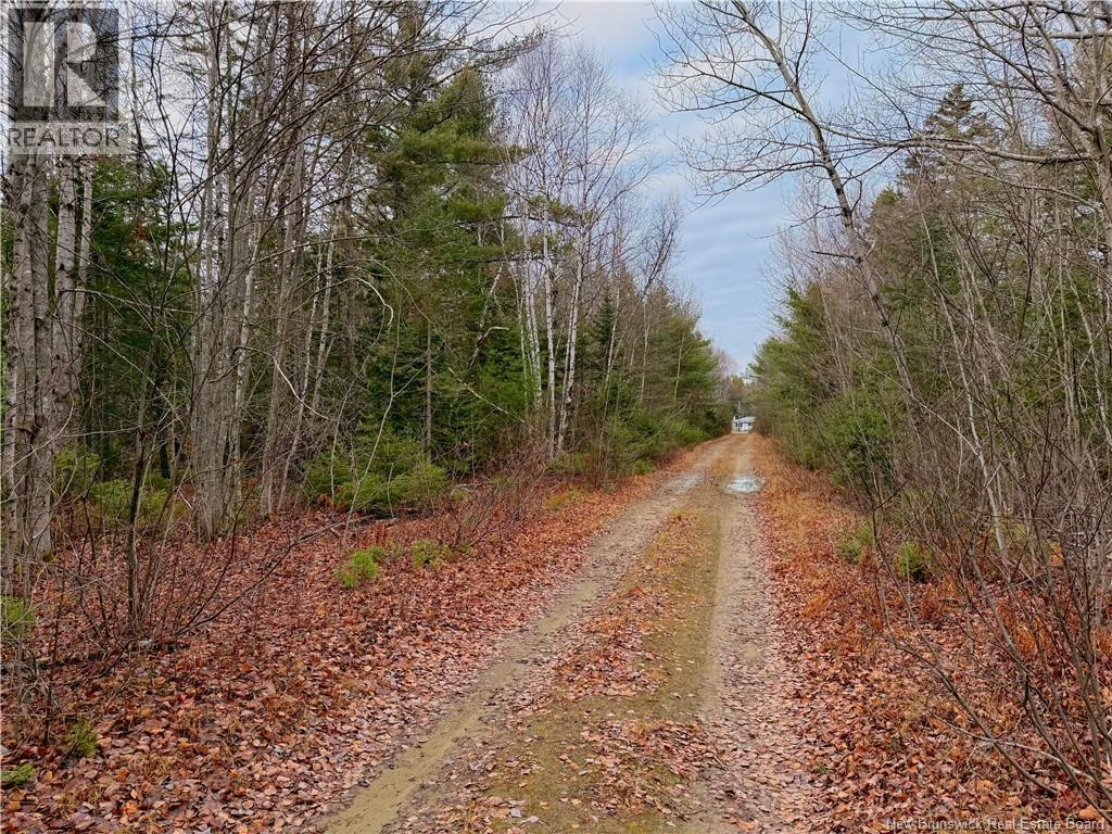 Right of way - Wellington Street, Loggieville, NB