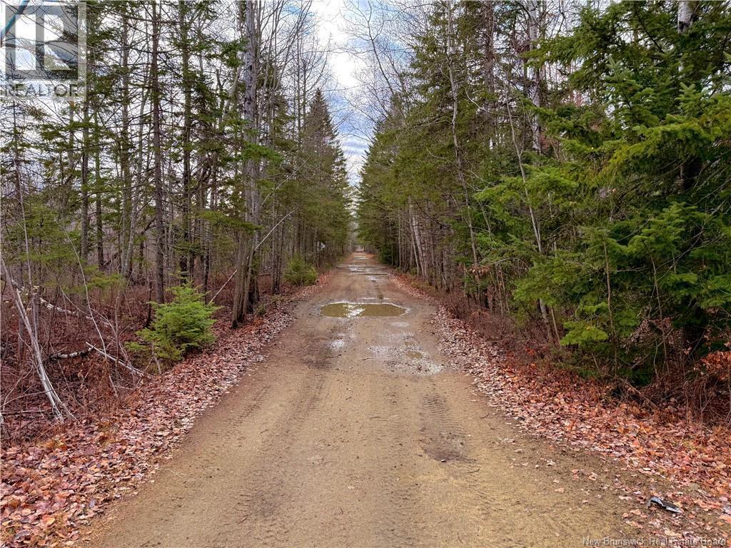 Walking/ATV/snowmobile trail behind the property - Wellington Street, Loggieville, NB