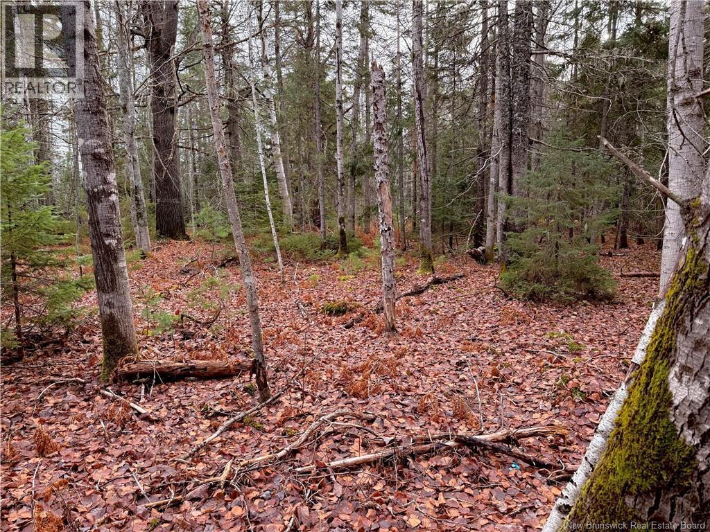 Wellington Street, Loggieville, NB