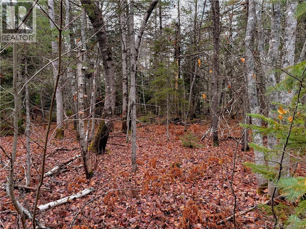 Wellington Street, Loggieville, NB