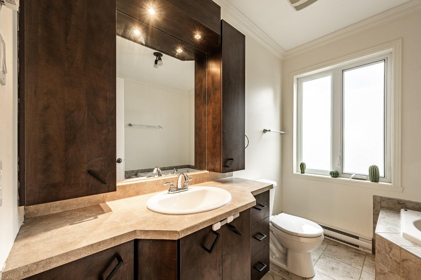 Bathroom - 3406 Rue Robert, Saint-Jean-Baptiste, QC - Indoor Photo Showing Bathroom