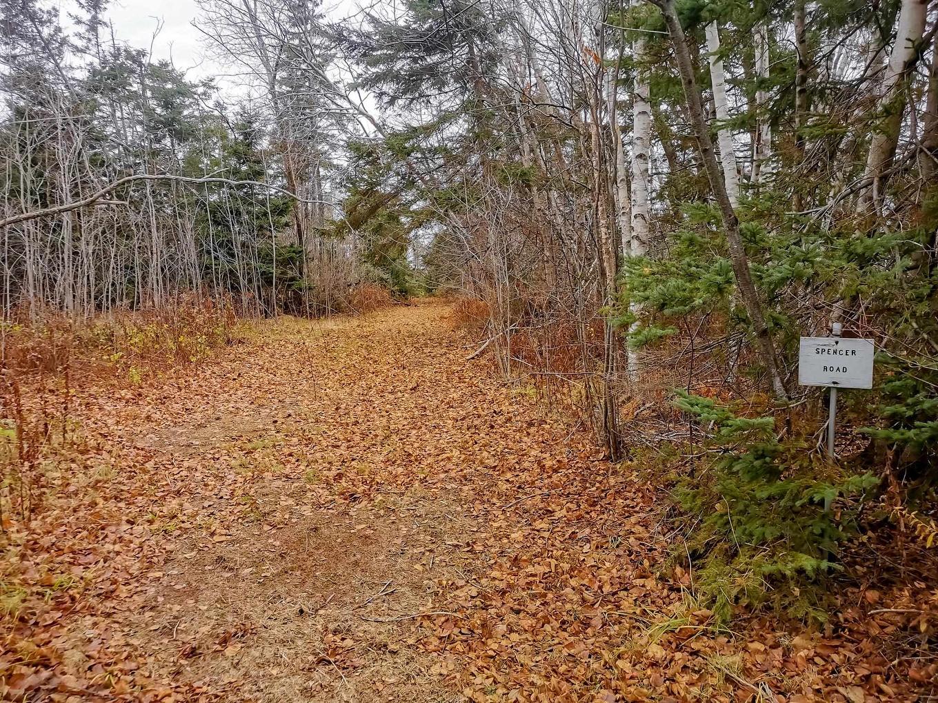 1067 Cape Bear Road, Murray Harbour, PE