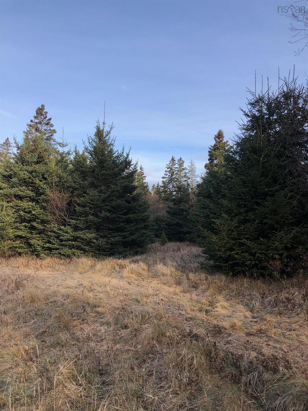 Lot 8-A Woodenship Lane, Feltzen South, NS