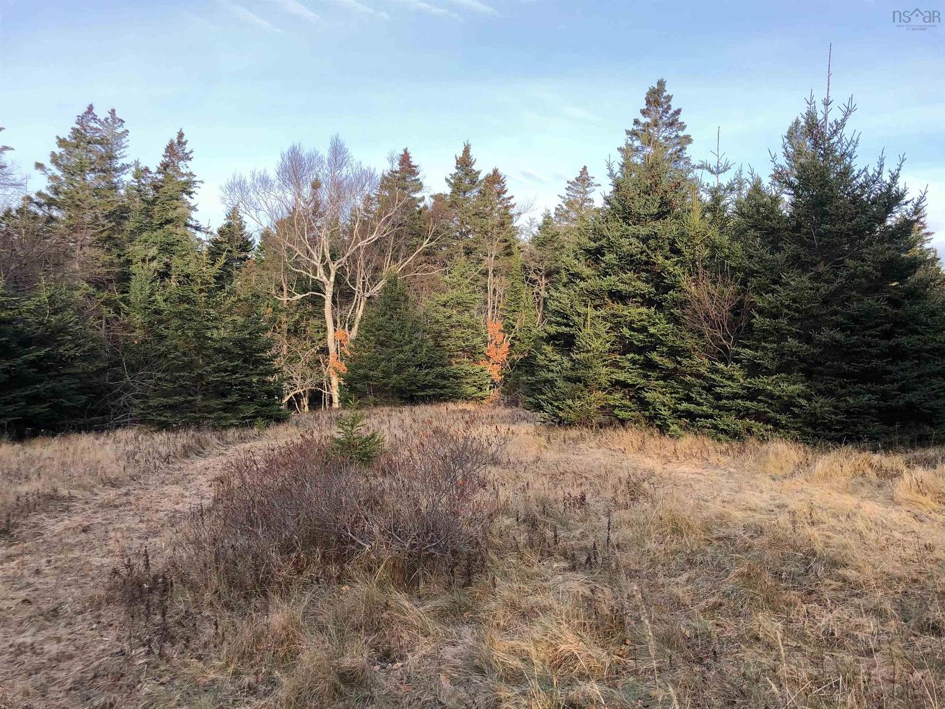 Lot 8-A Woodenship Lane, Feltzen South, NS