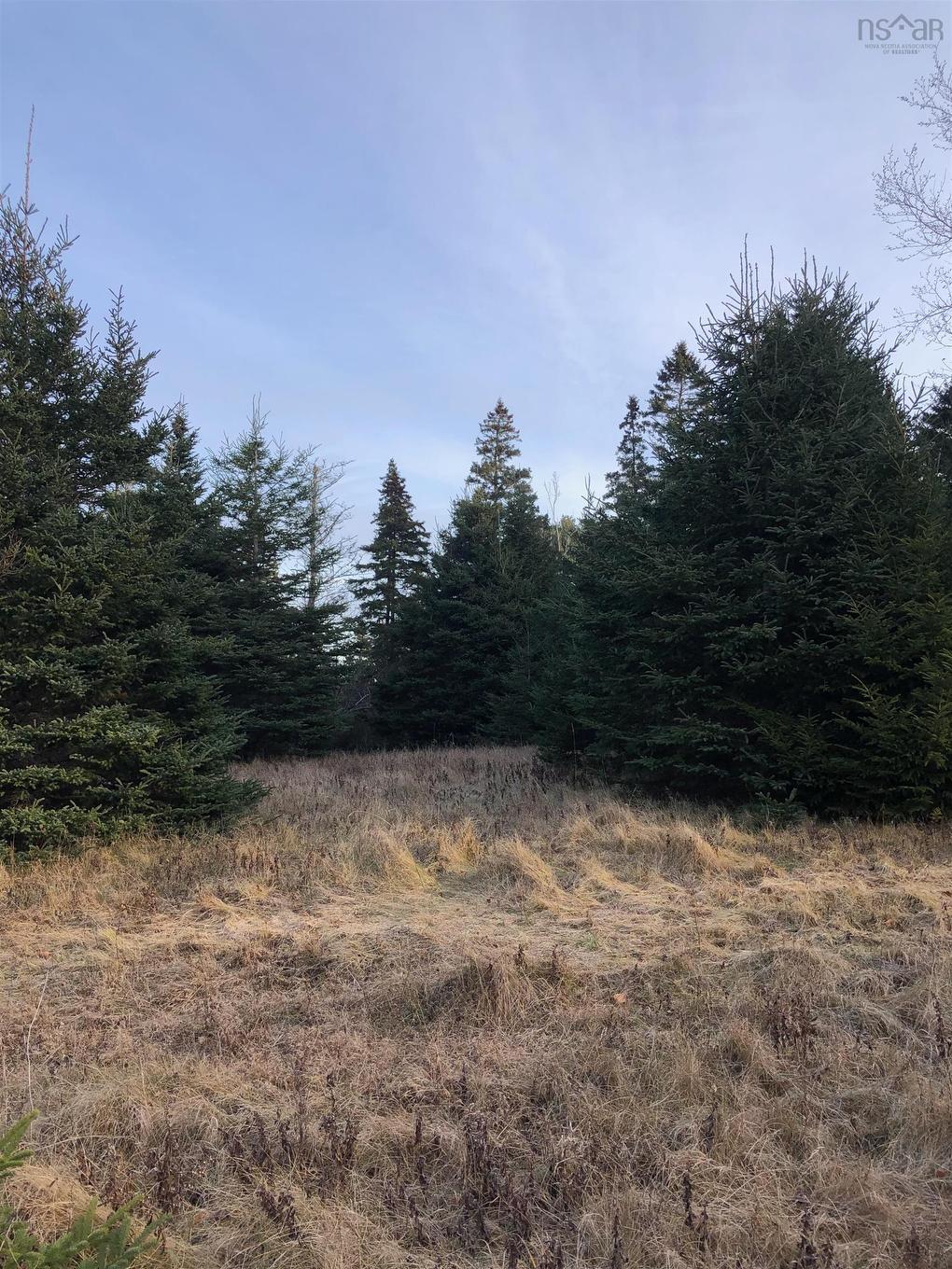 Lot 8-A Woodenship Lane, Feltzen South, NS