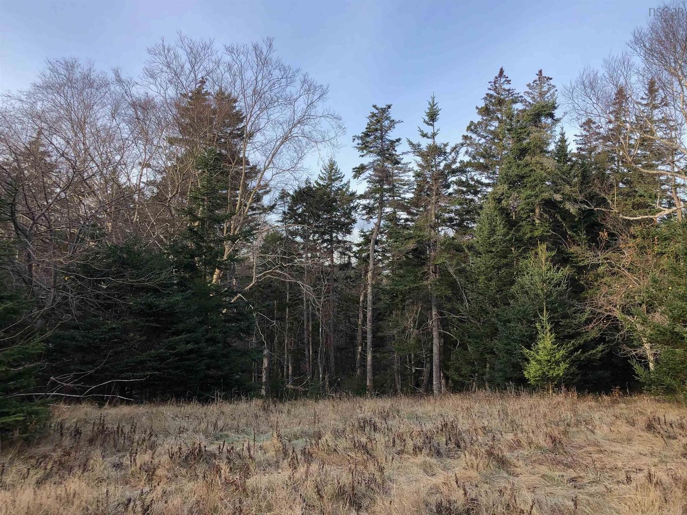 Lot 8-A Woodenship Lane, Feltzen South, NS
