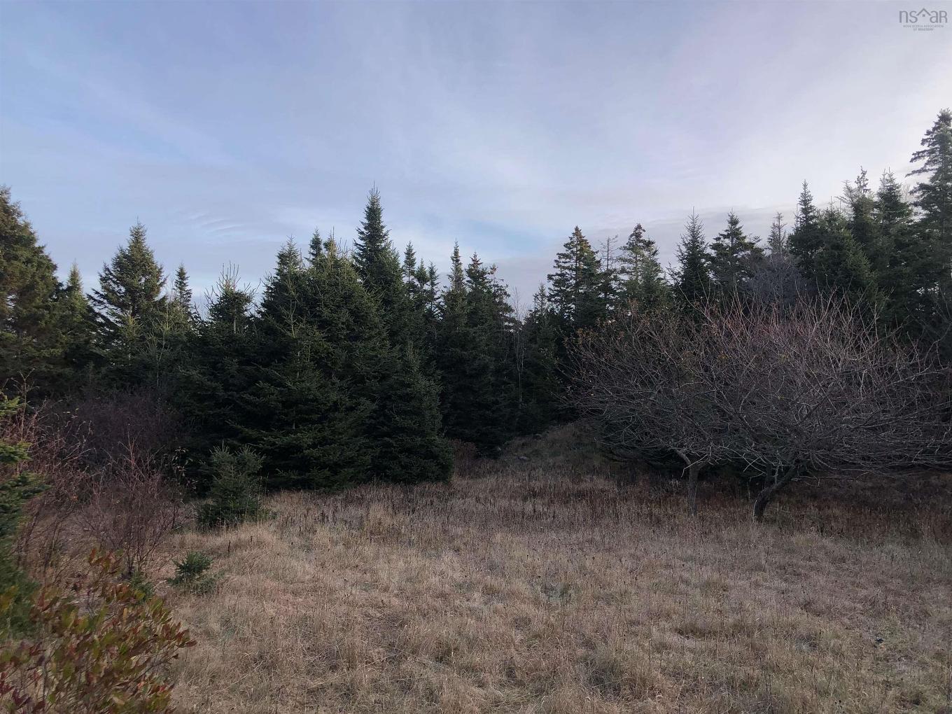 Lot 8-A Woodenship Lane, Feltzen South, NS