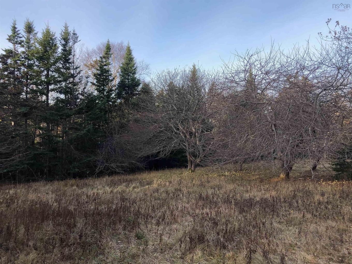 Lot 8-A Woodenship Lane, Feltzen South, NS
