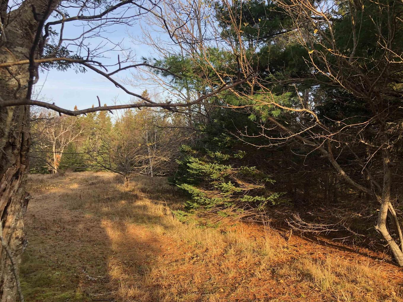 Lot 8-A Woodenship Lane, Feltzen South, NS