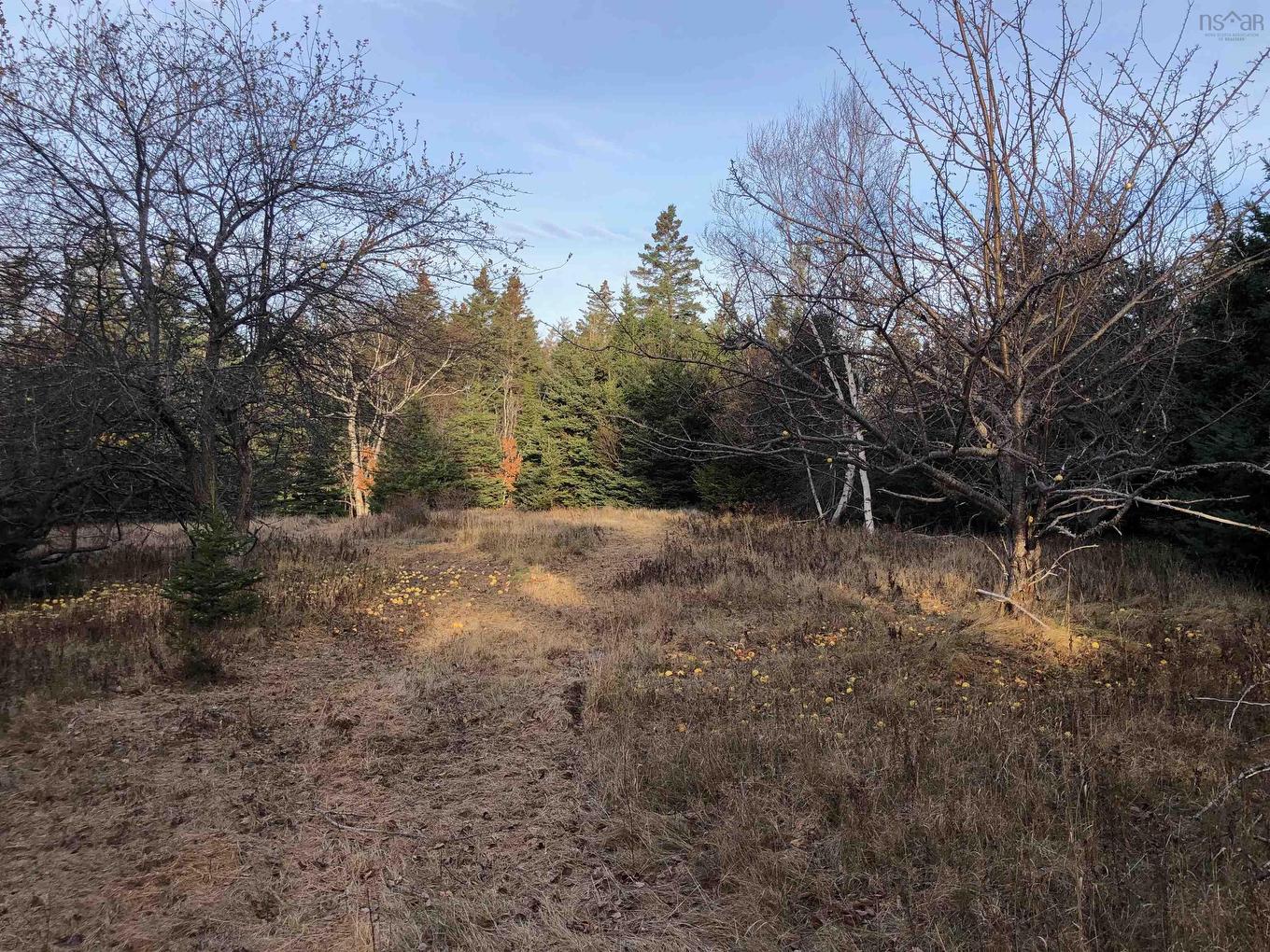 Lot 8-A Woodenship Lane, Feltzen South, NS