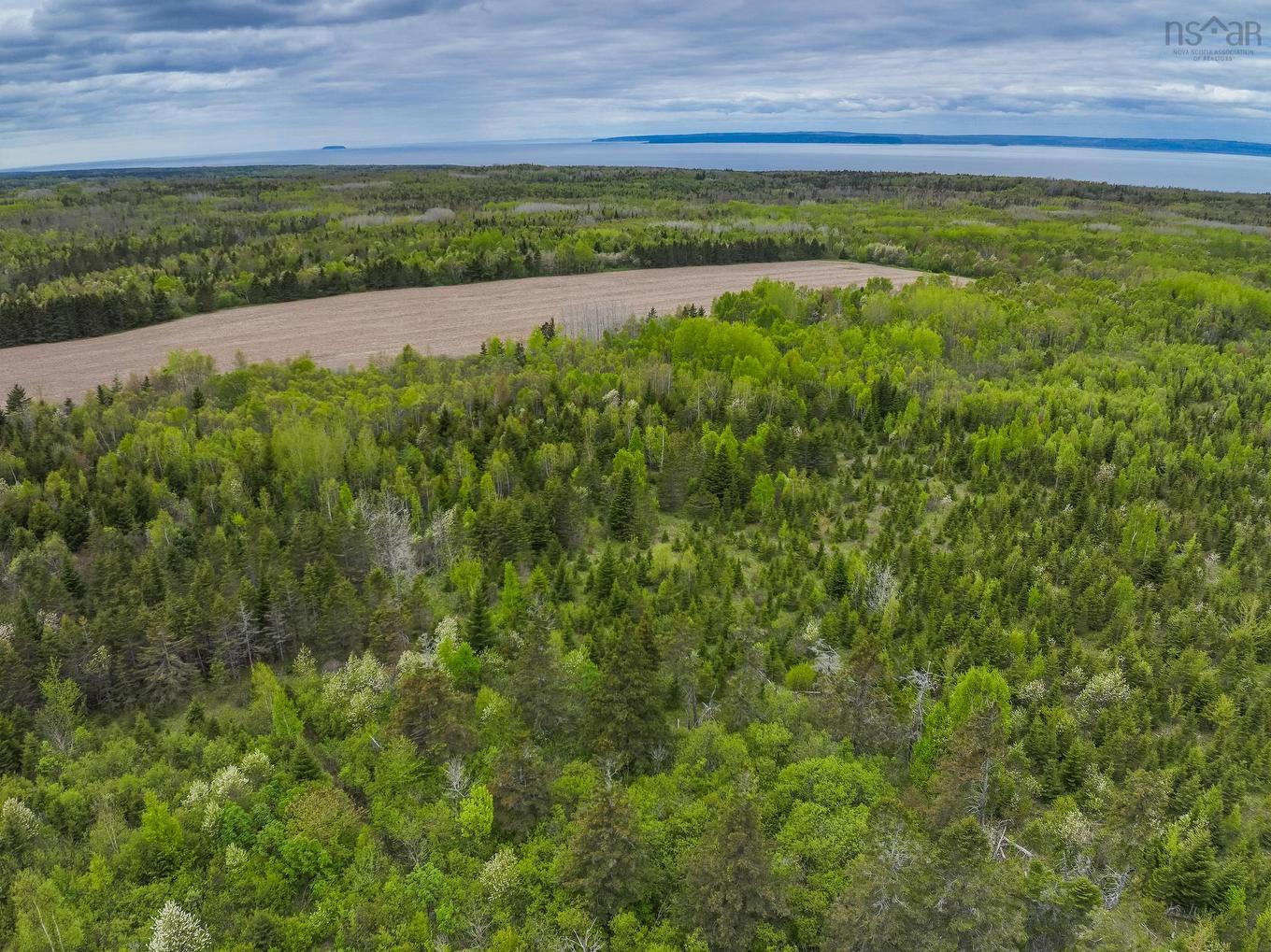 Lot 4 Baxters Harbour Road, Baxters Harbour, NS