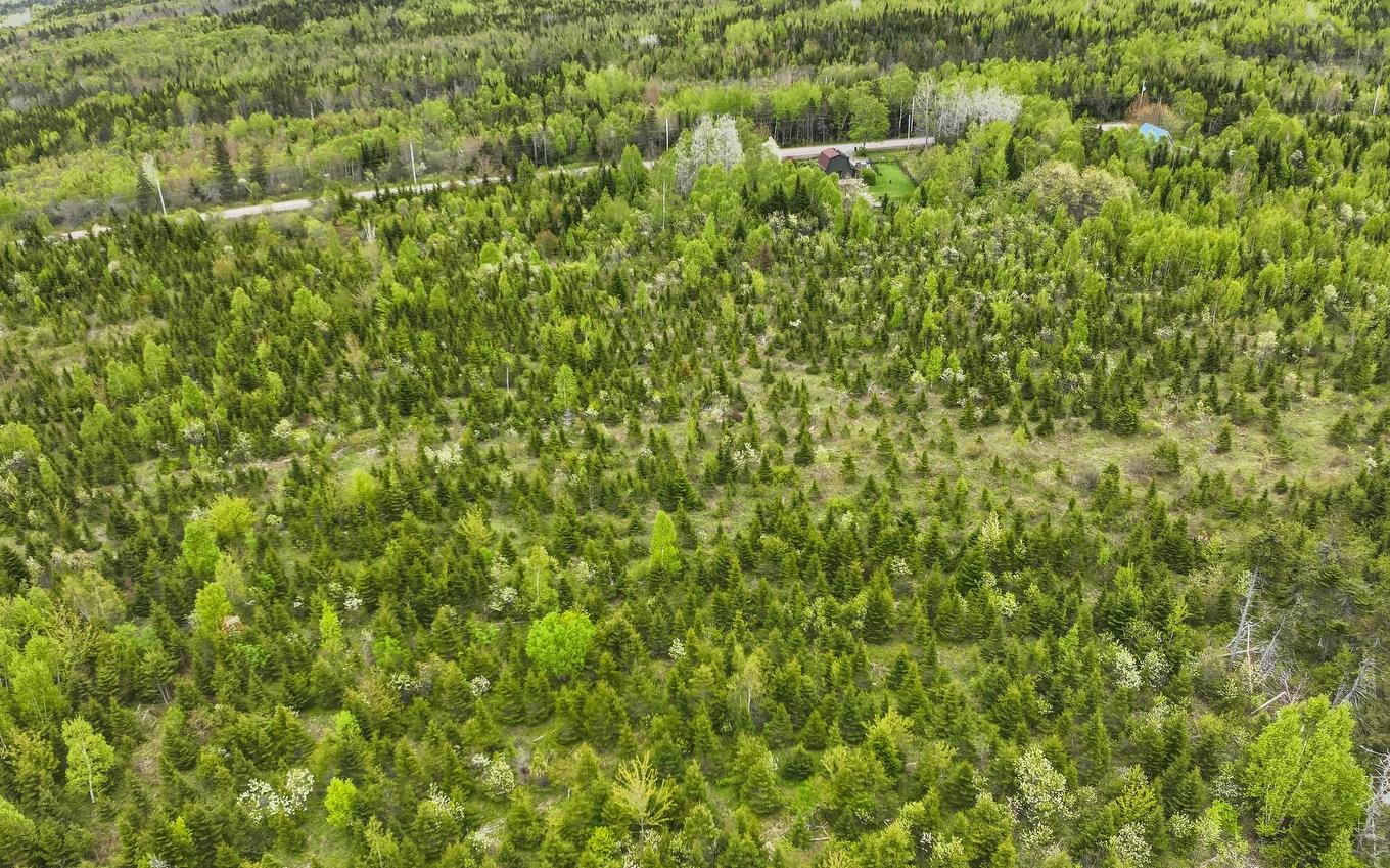 Lot 4 Baxters Harbour Road, Baxters Harbour, NS