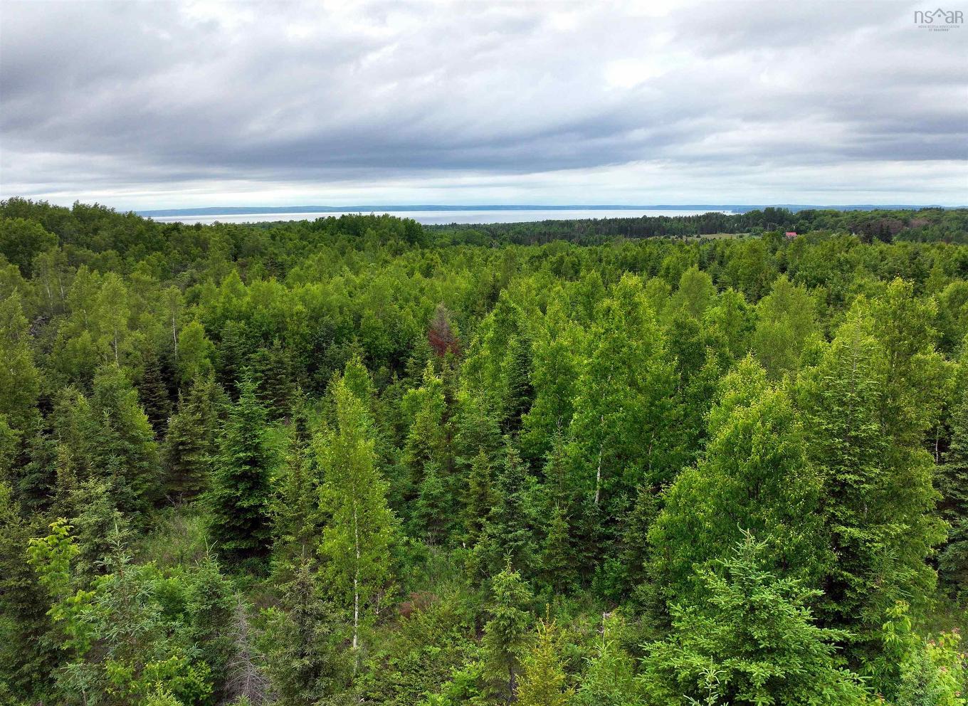 Lot 4 Baxters Harbour Road, Baxters Harbour, NS