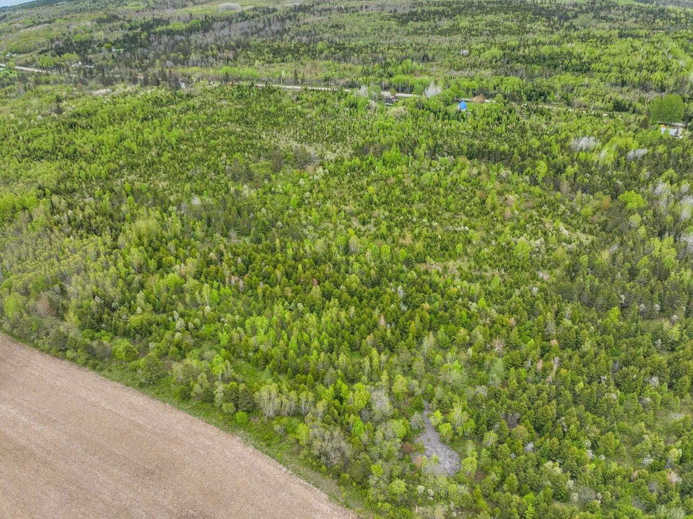 Lot 4 Baxters Harbour Road, Baxters Harbour, NS