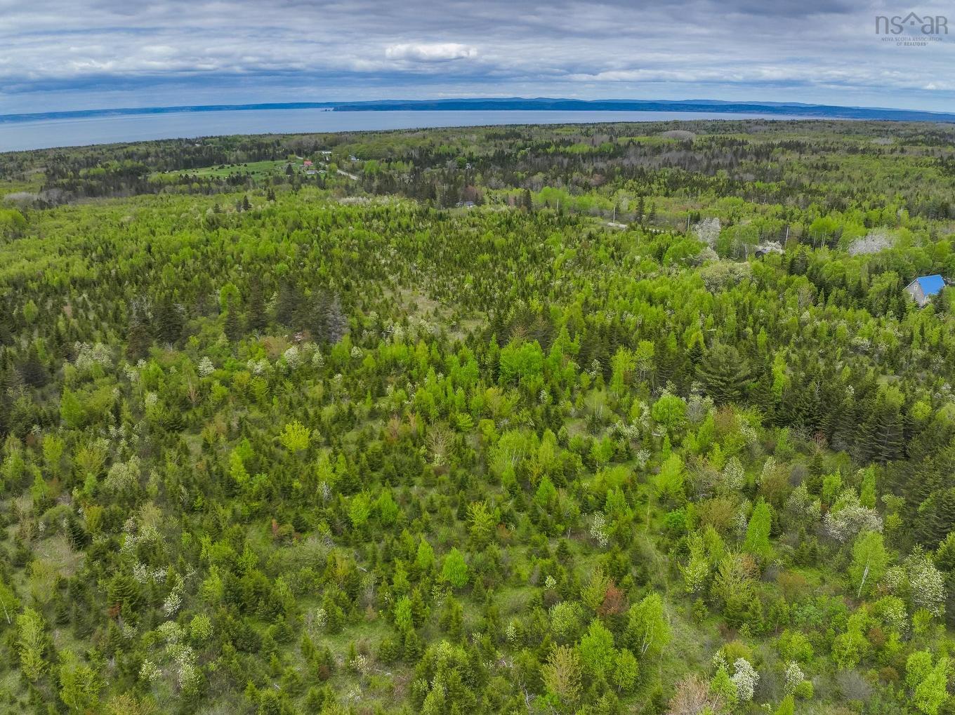 Lot 4 Baxters Harbour Road, Baxters Harbour, NS