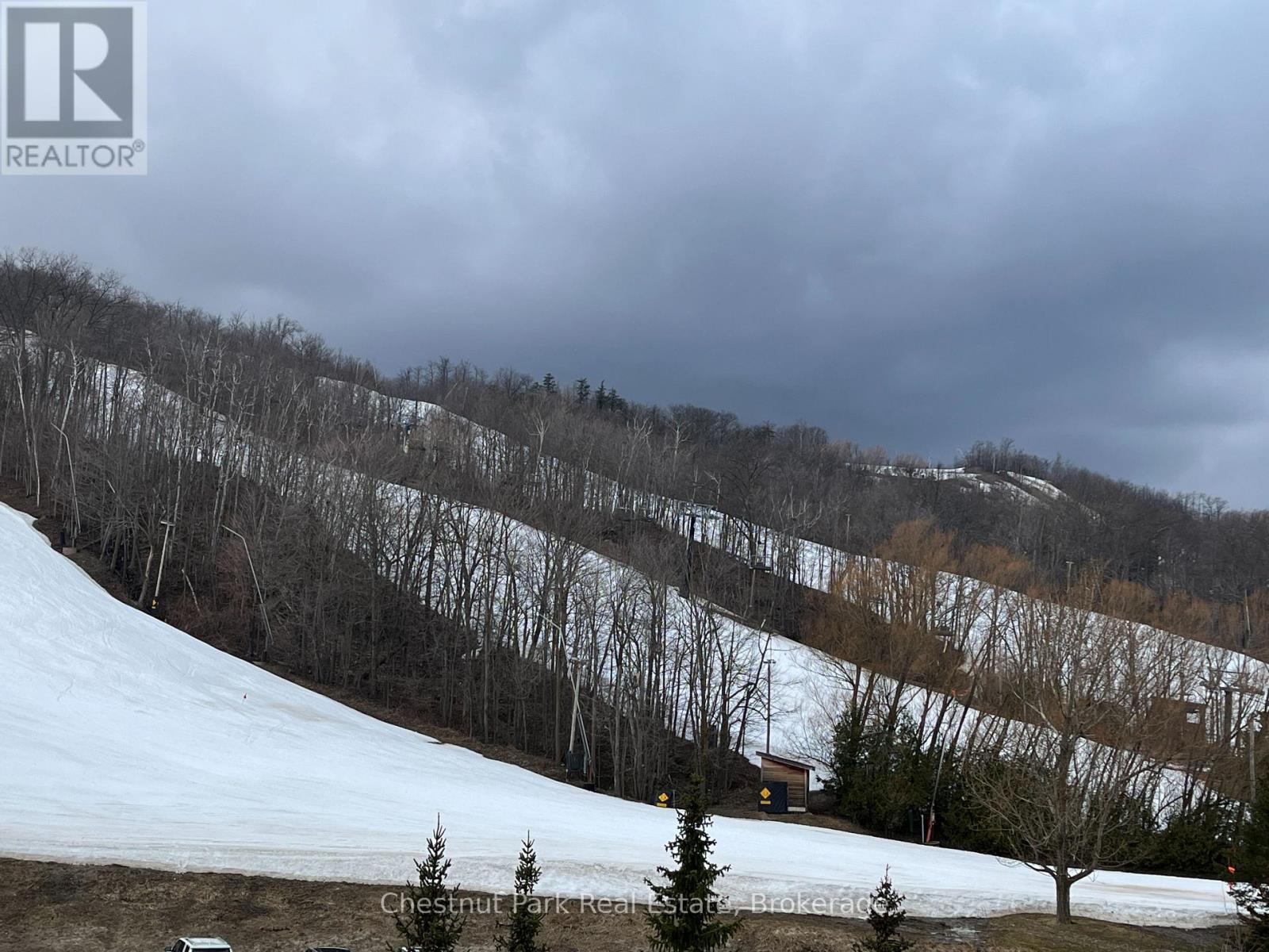 307 - 220 Gord Canning Drive, Blue Mountains, ON - Outdoor With View