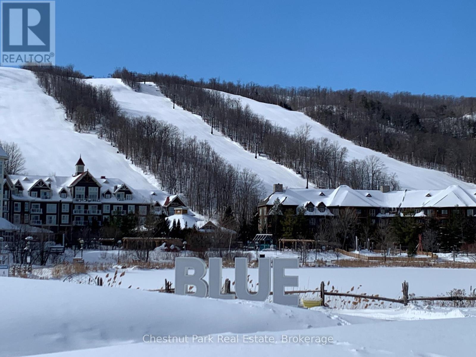 Blue Mountain winter - 307 - 220 Gord Canning Drive, Blue Mountains, ON - Outdoor With View