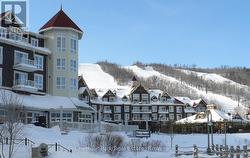 Blue Mountain winter -