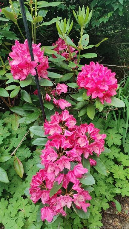 337 Lakeview Dr, Saint John, NB