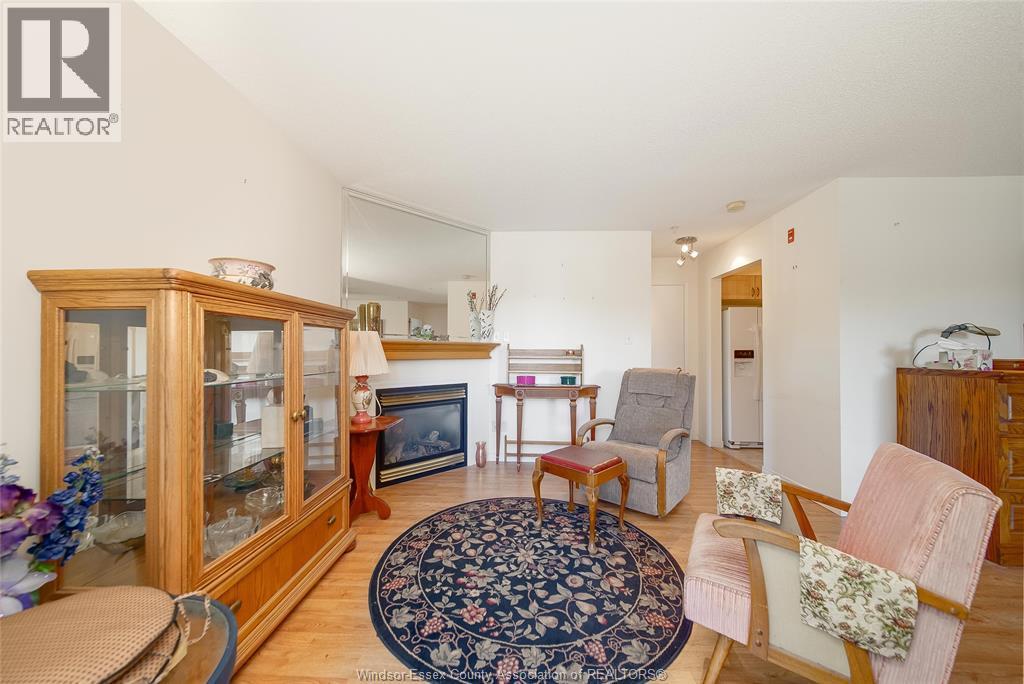 3160 Wildwood Drive Unit# 206, Windsor, ON - Indoor Photo Showing Living Room With Fireplace