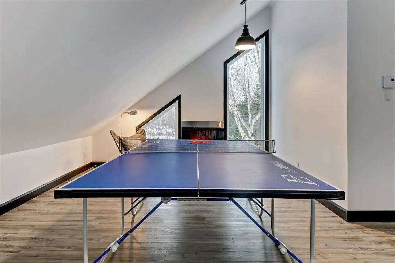 Playroom - 38 Rue Du Refuge, Saint-Ferréol-Les-Neiges, QC - Indoor Photo Showing Other Room