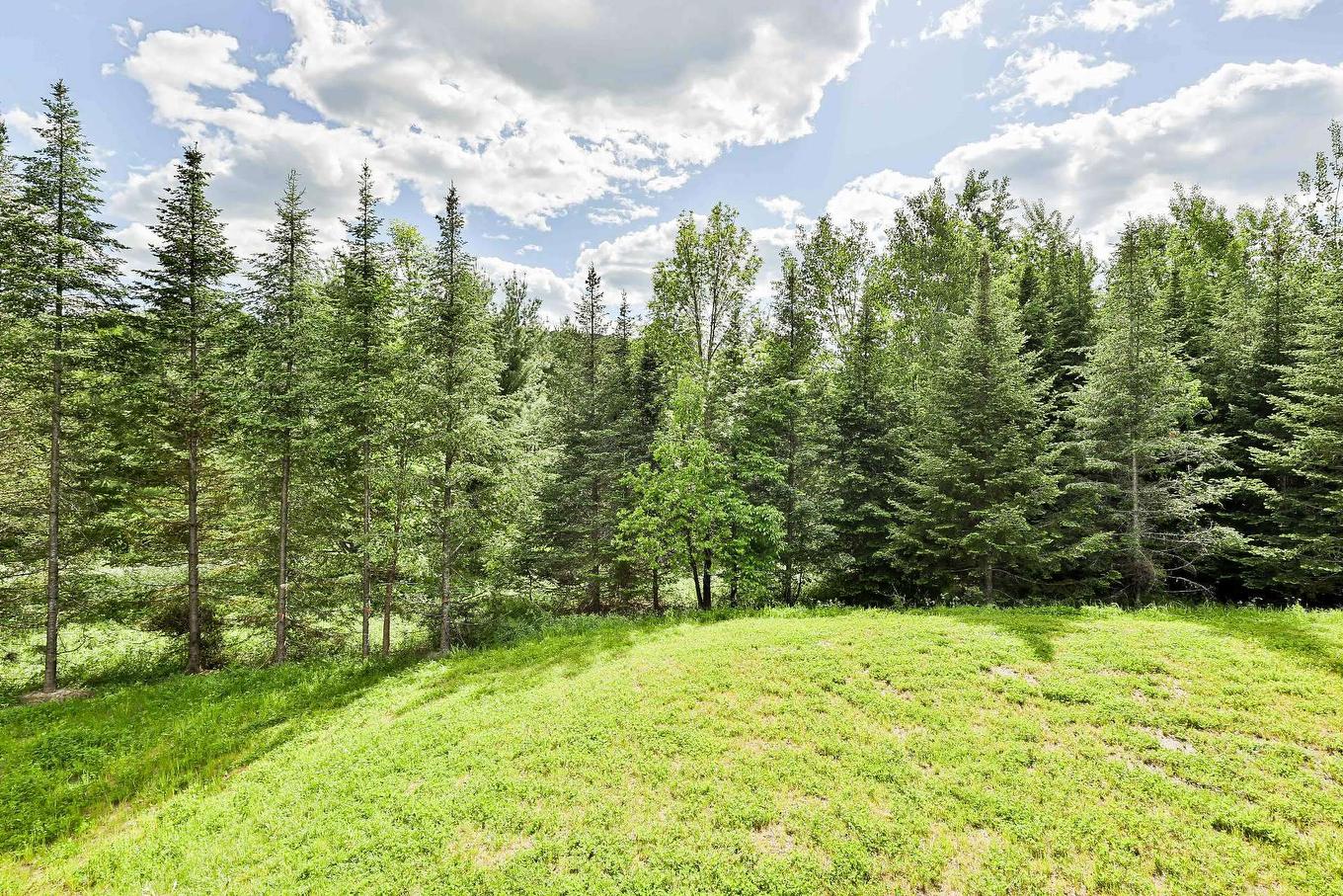 Exterior - 1608 Ch. Des Achillées, Piedmont, QC - Outdoor With View