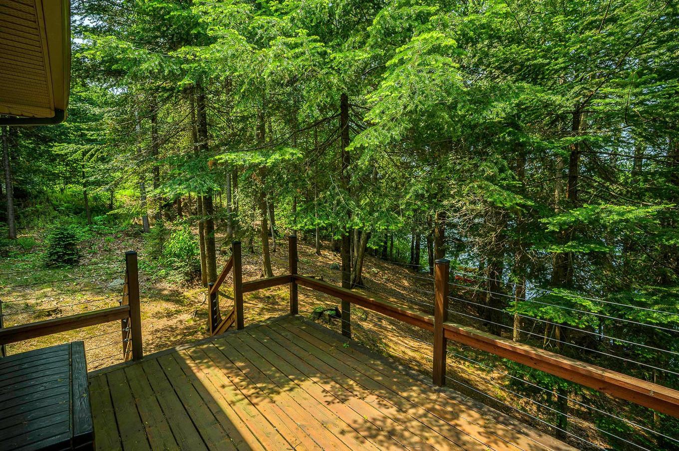 Wooded area - 29 Ch. Des Mésanges, Sainte-Anne-Des-Lacs, QC - Outdoor