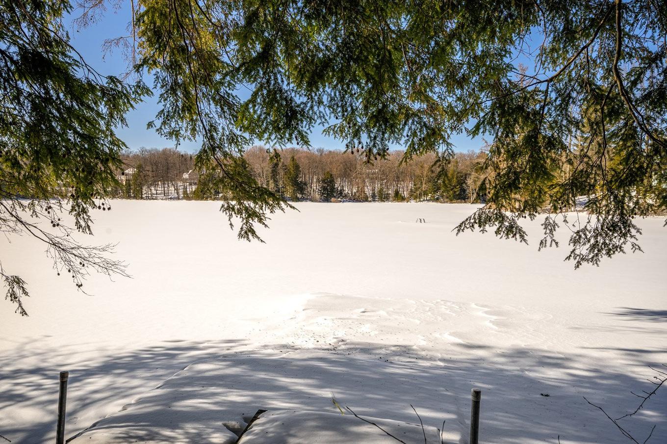 Waterfront - 29 Ch. Des Mésanges, Sainte-Anne-Des-Lacs, QC - Outdoor With View