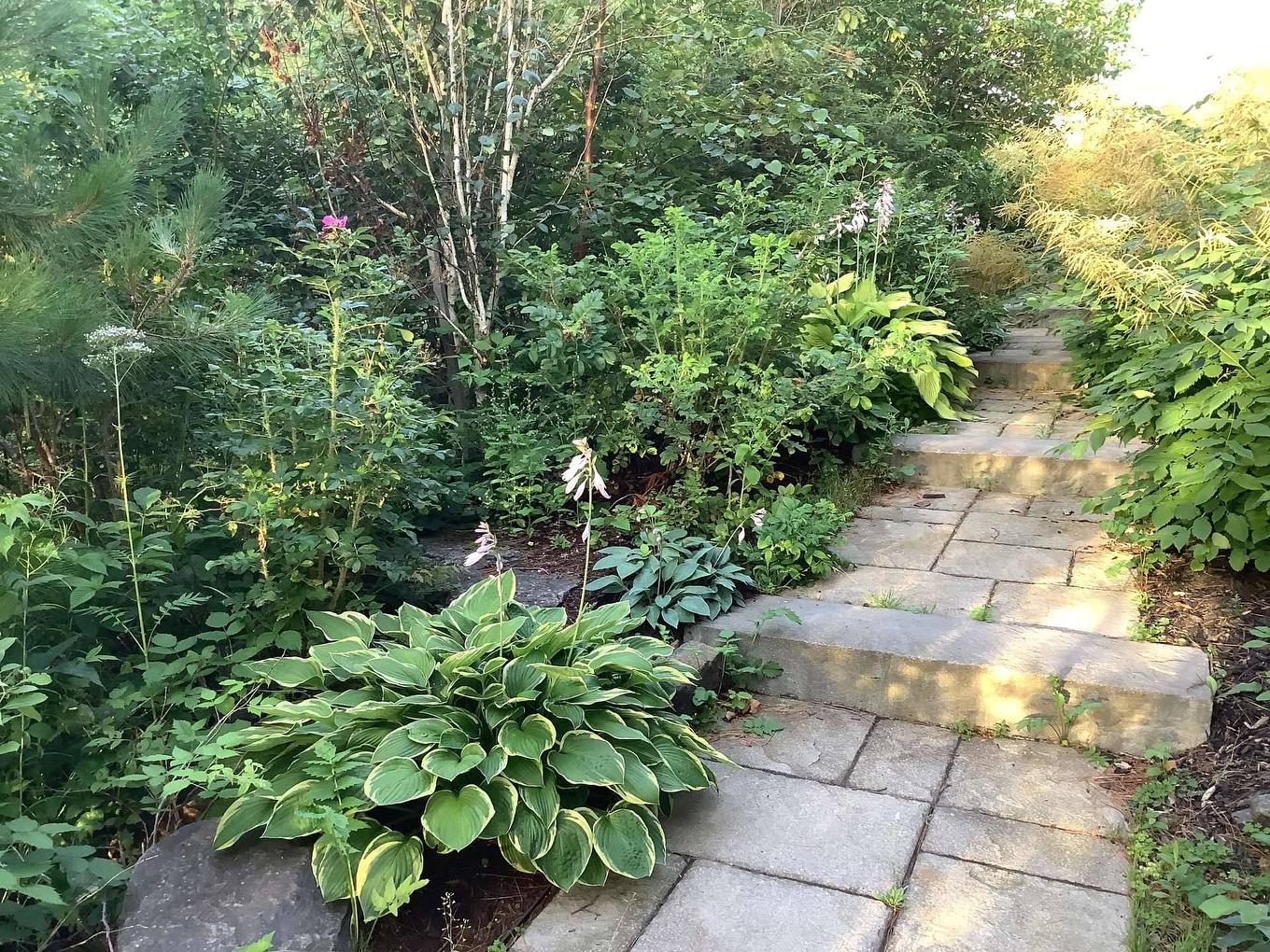 Access to a body of water - 29 Ch. Des Mésanges, Sainte-Anne-Des-Lacs, QC - Outdoor