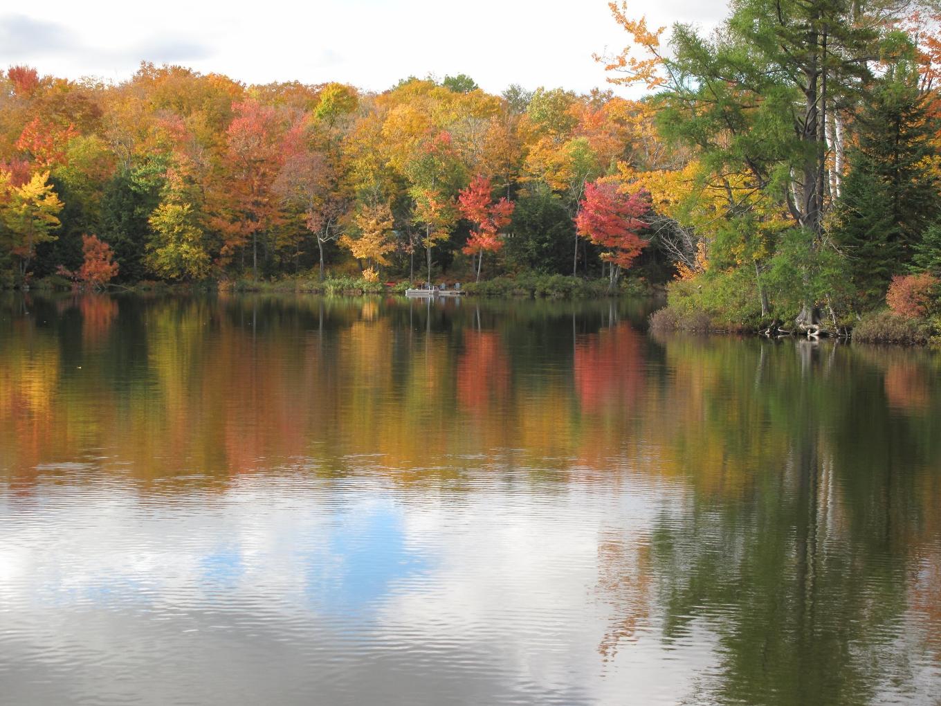 Waterfront - 29 Ch. Des Mésanges, Sainte-Anne-Des-Lacs, QC - Outdoor With Body Of Water With View