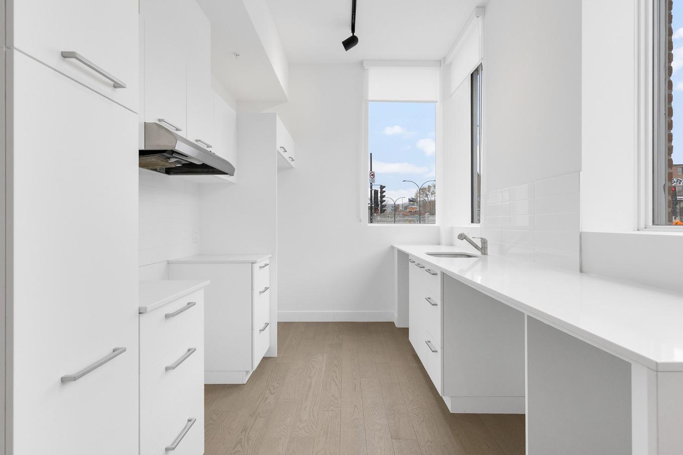 Kitchen - 101-5420 Av. Papineau, Montréal (Le Plateau-Mont-Royal), QC - Indoor