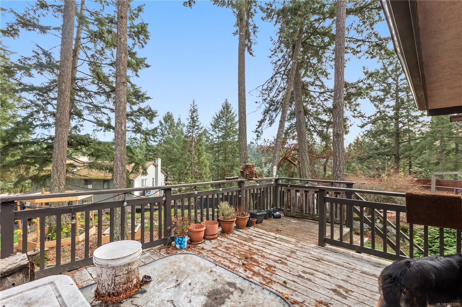 309 Renart Pl, Langford, BC